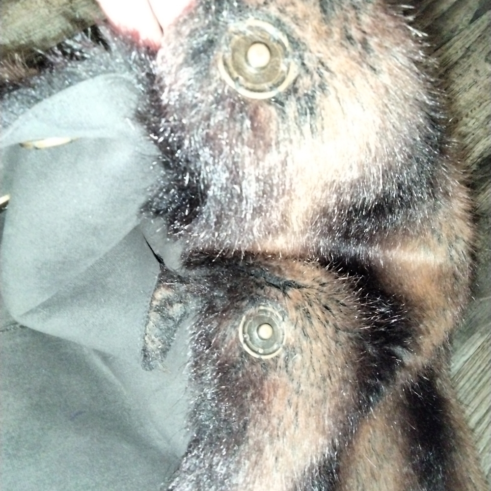 Bear Fur Vest - image 4